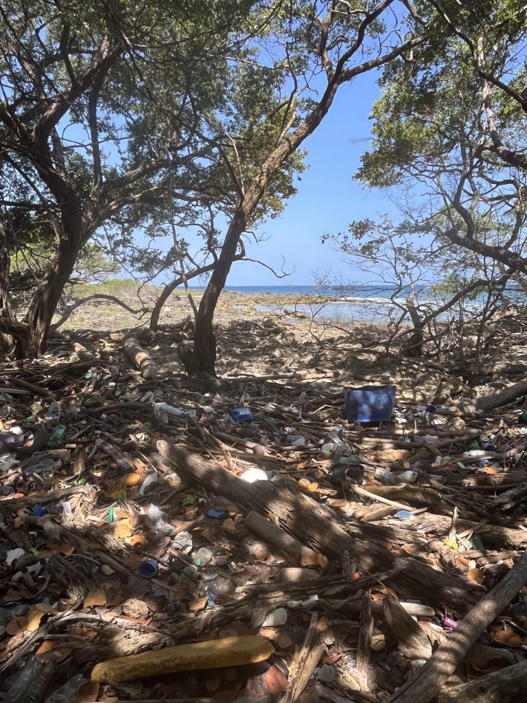 view of a beach and seas in the background from a shaded area under the trees. the ground is riddled with plastic debris.