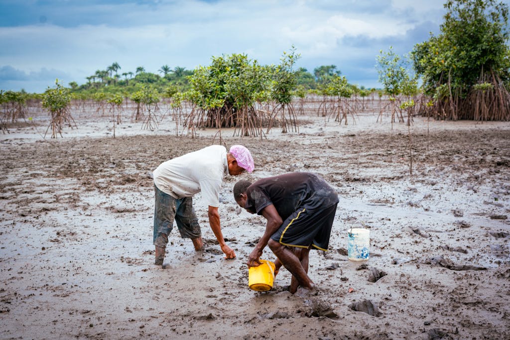 Two fishermen gather resources in muddy terrain, showcasing traditional Nigerian fishing methods.