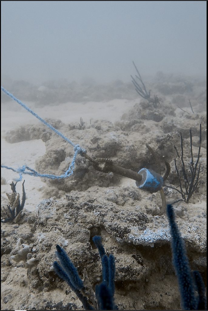 underwater view of a handmade anchor, on a reef.